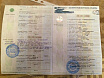 Ниссан Теана 2011 фото