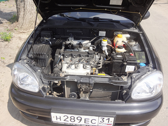 Фото ЗАЗ Шанс 2012 цена 250000 руб.