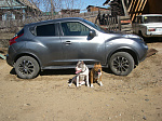 Nissan Juke 1,5 